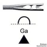 Haut- und Muskelnadeln Ga 214 Gr. 6 mit Federöhr