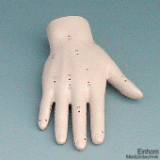 Akupunkturmodell Hand