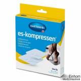 ES-Kompressen steril 8-fach 10 x 10 cm (5 x 2 Stck.)