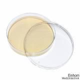 Sabouraud-Dextrose-Agar (10 Fertigplatten) (**Kühlware**)