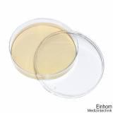 Dermasel-Agar (10 Fertigplatten) (**Kühlware**)